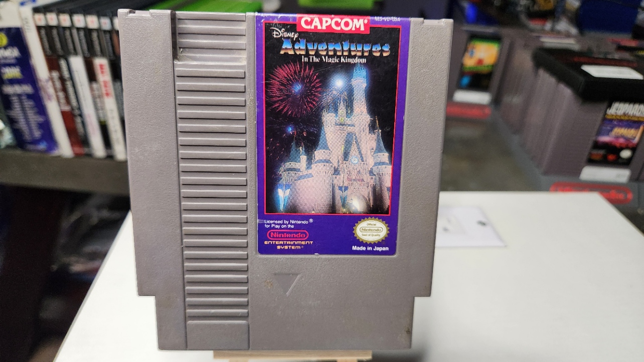 Adventures in the Magic Kingdom